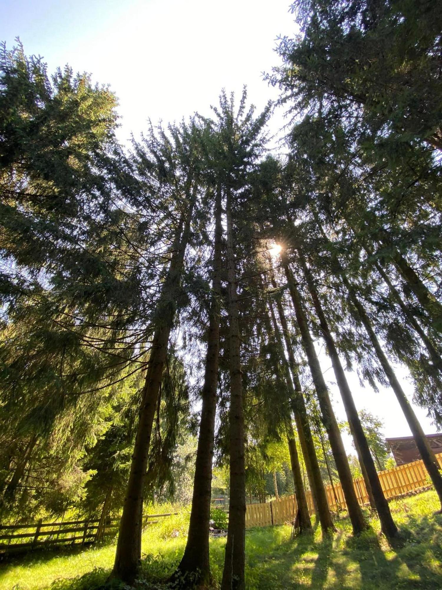 Vila Cetina Beliş Esterno foto